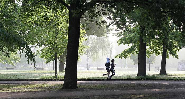 Với cây cối, tác dụng làm mát còn có thể cảm nhận ở khu vực bên dưới
