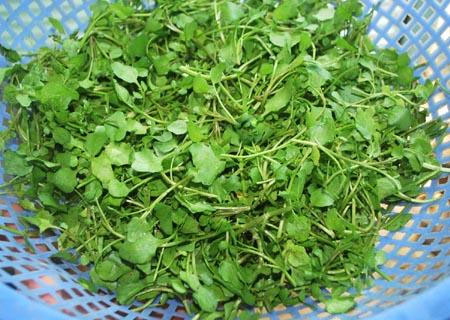  Trong cải xoong chứa nhiều vitamin K và kali.