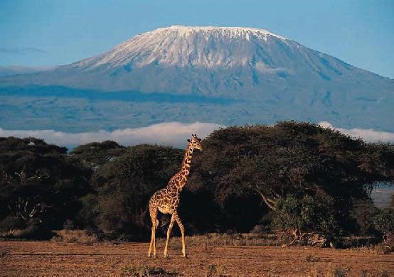Núi Kilimanjaro, châu Phi. Chiều cao: 5.895m