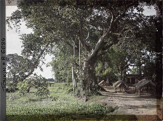 Chợ làng Định Công.