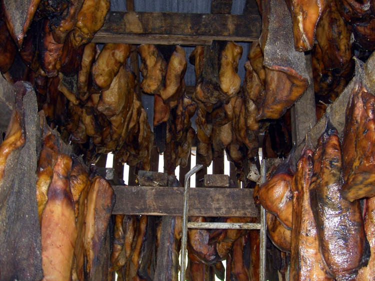 Cá mập lên men