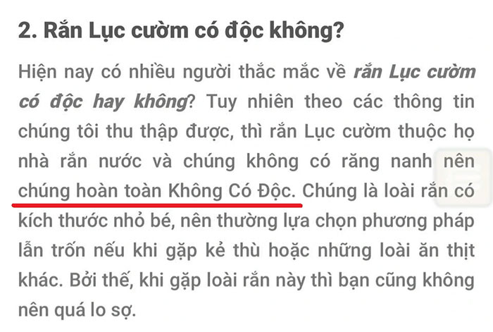 Một thông tin hoàn toàn sai về rắn lục cườm được tìm thấy trên Google