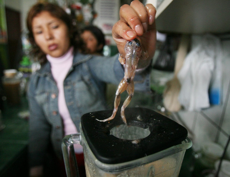 Món sinh tố ếch tươi sống